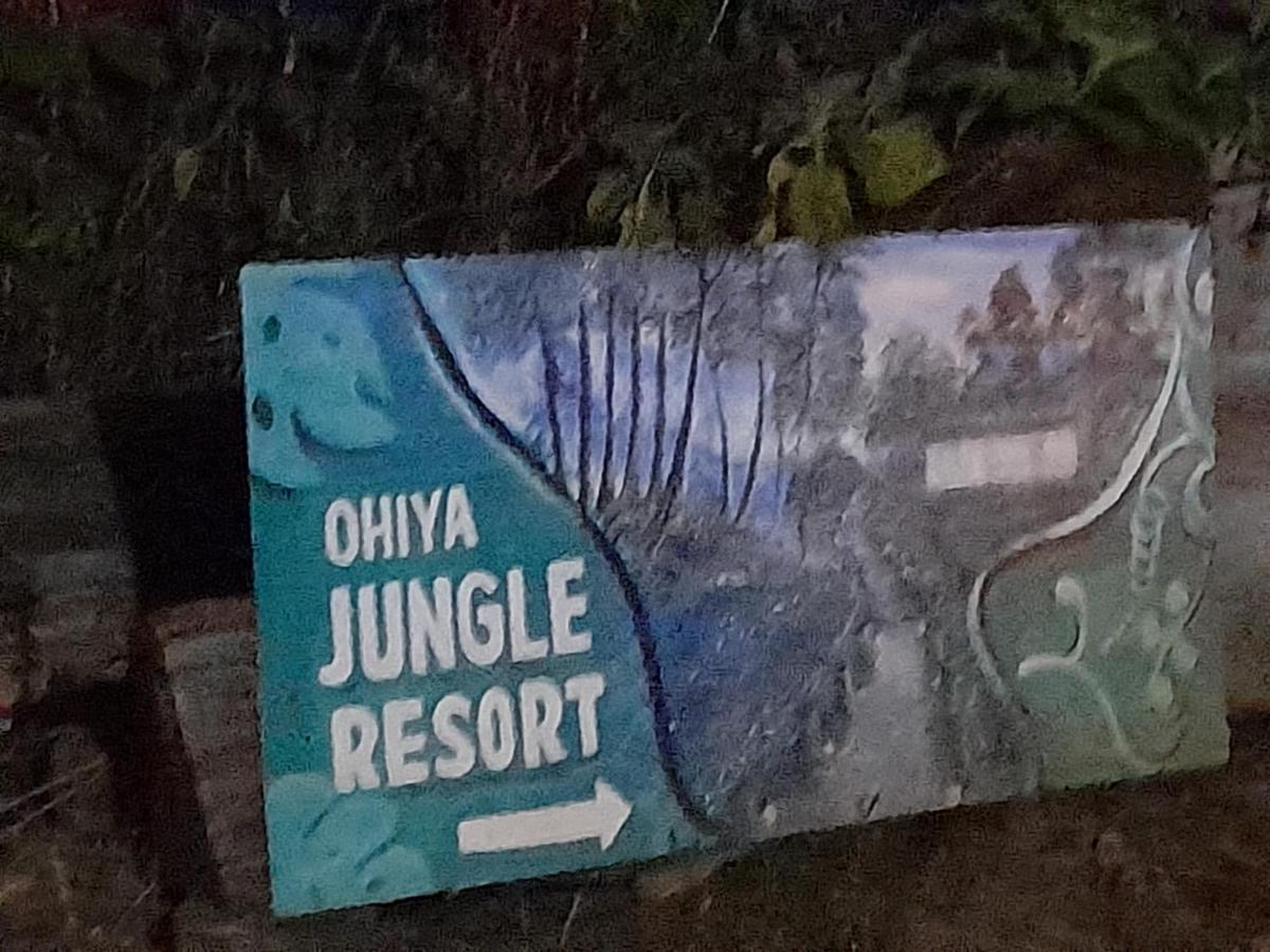 Ohiya Jungle Resort Zewnętrze zdjęcie